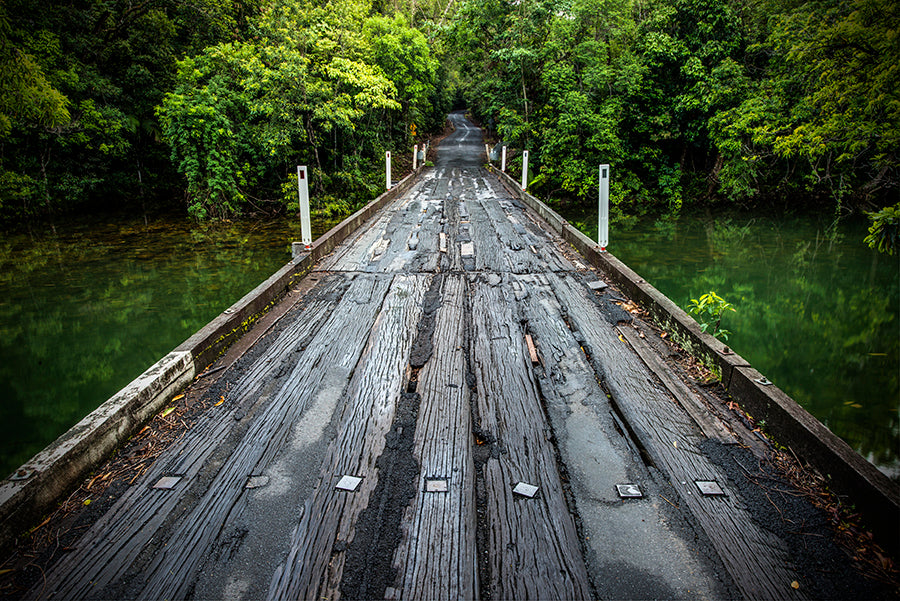 Daintree National Park, FNQ