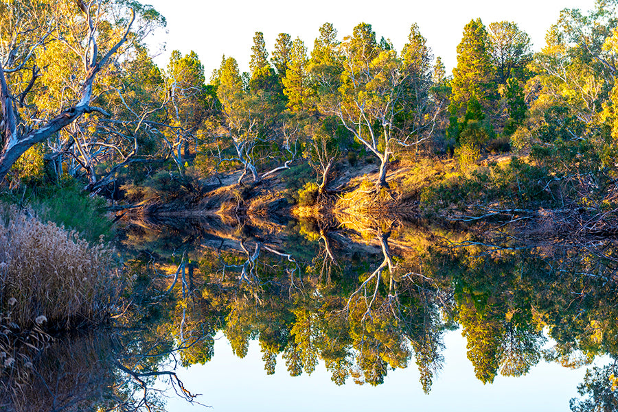 Wimmera River, Dimboola
