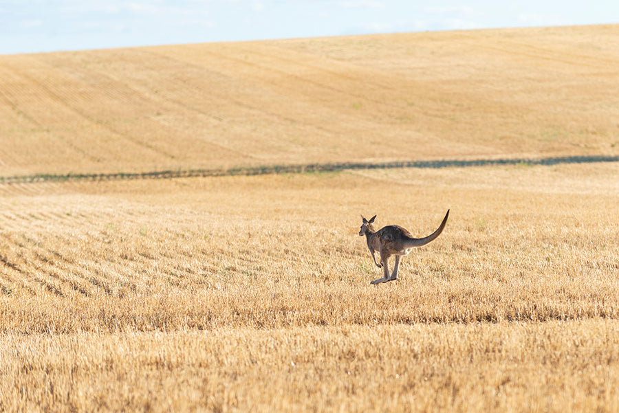 The Wimmera, Victoria