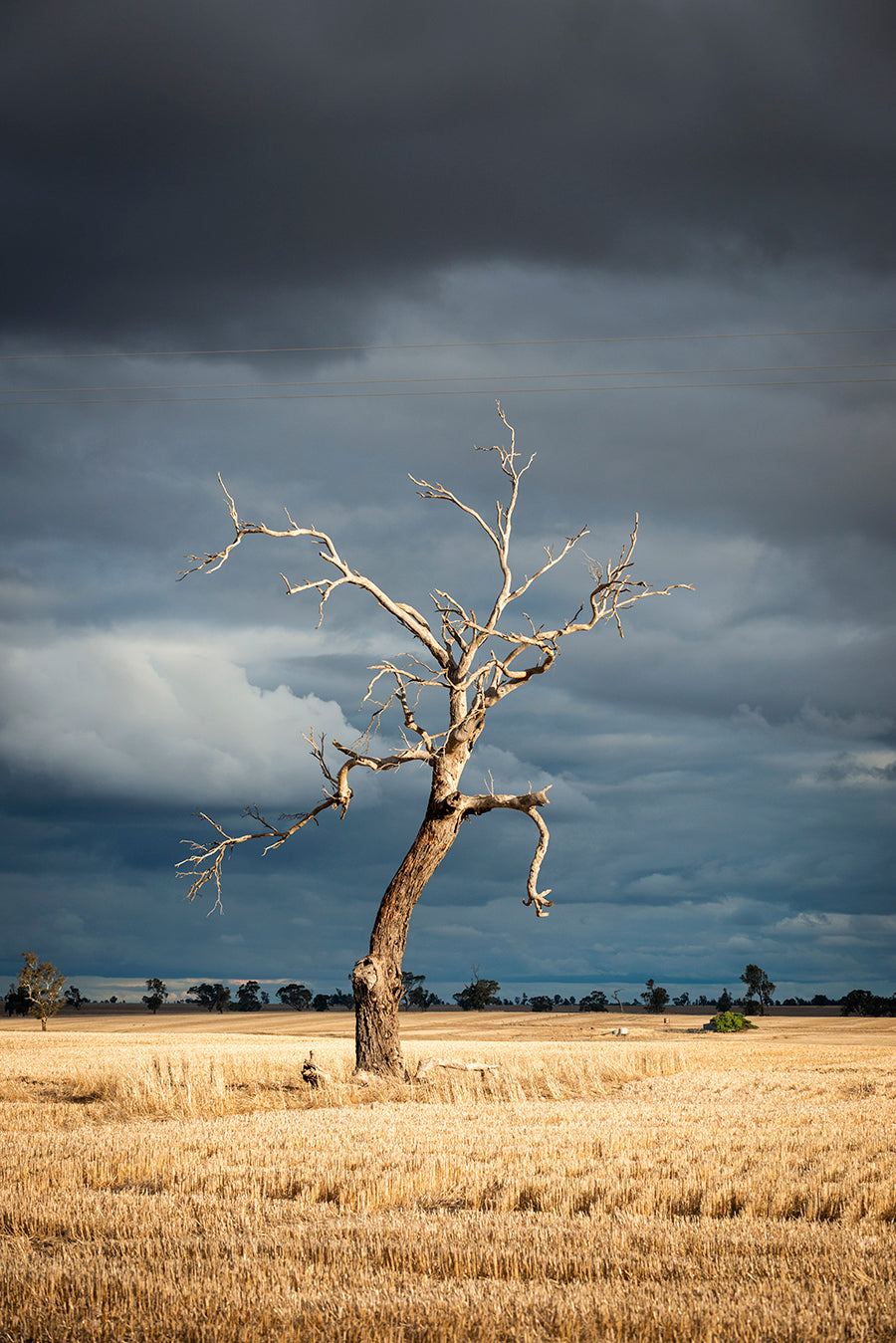 Kaniva, Victoria