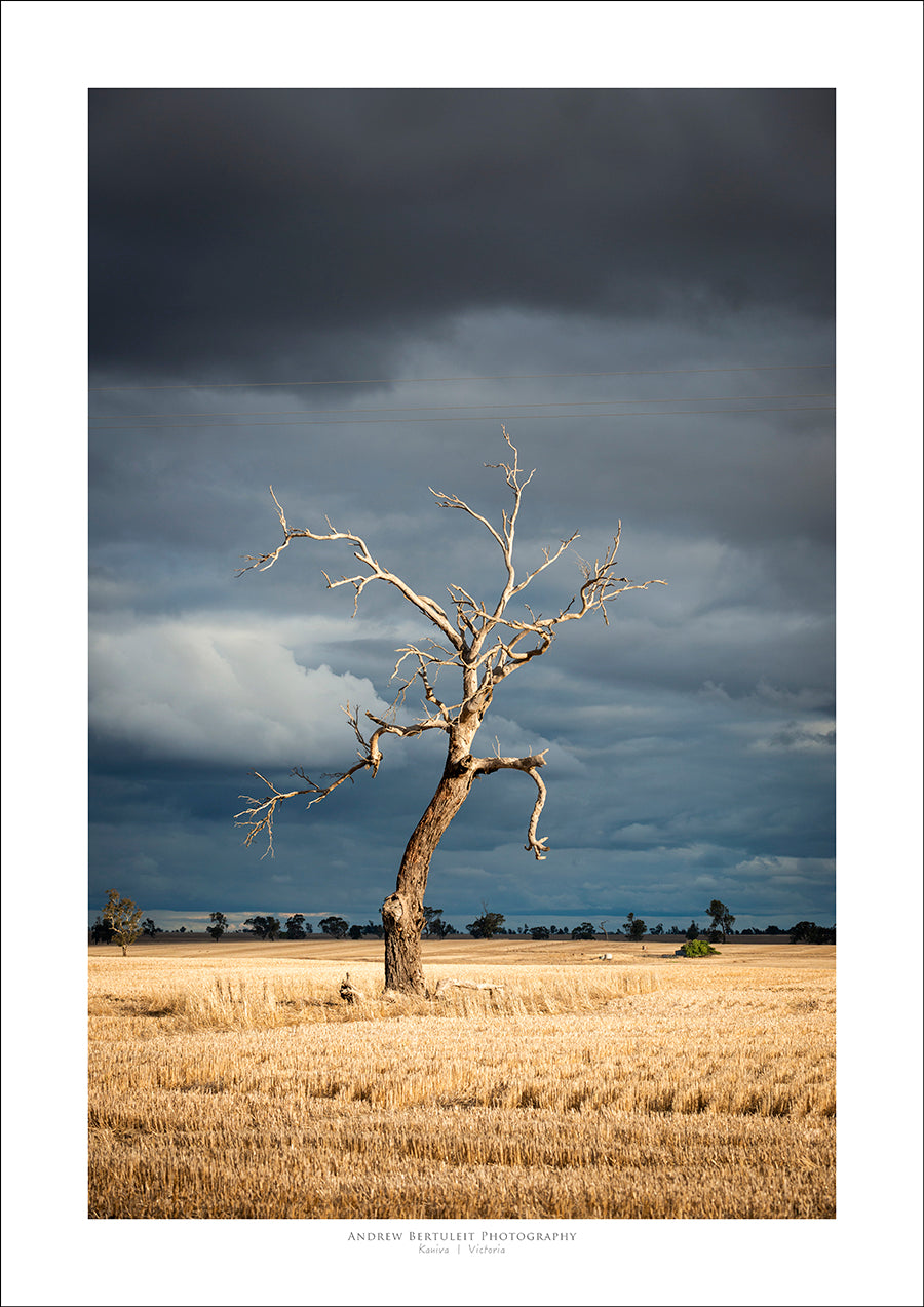 Kaniva, Victoria