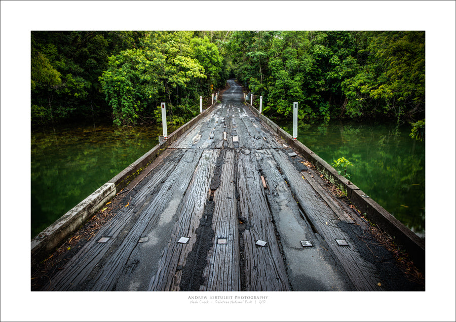 Daintree National Park, FNQ