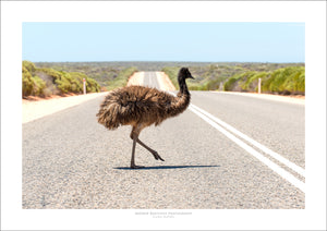 Emu Crossing