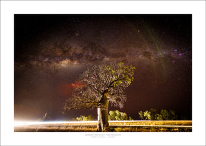 Boab, Northern Territory